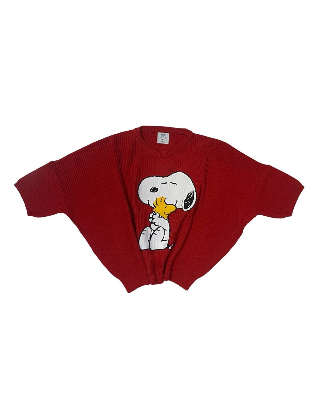 Pull con stampa snoopy